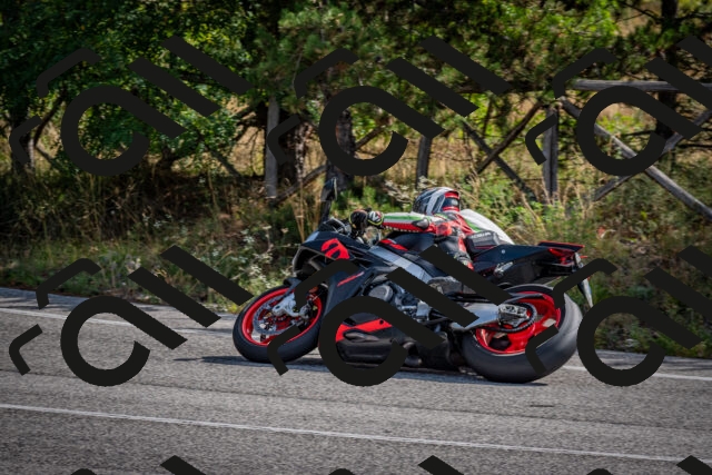 202509071050-DSC_2437_c2