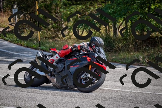 202509071051-DSC_2443_c2