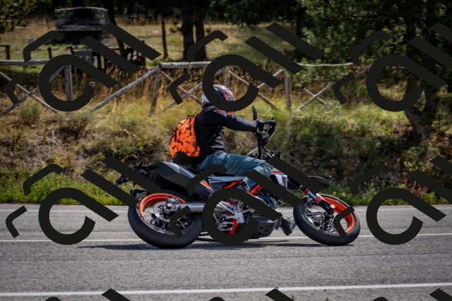 202509071051-DSC_2447_c2