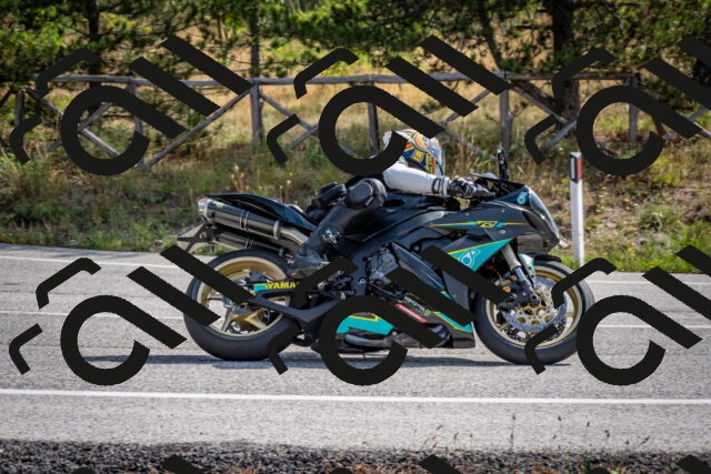 202509071051-DSC_2454_c2