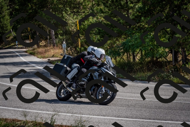 202509071052-DSC_2460_c2