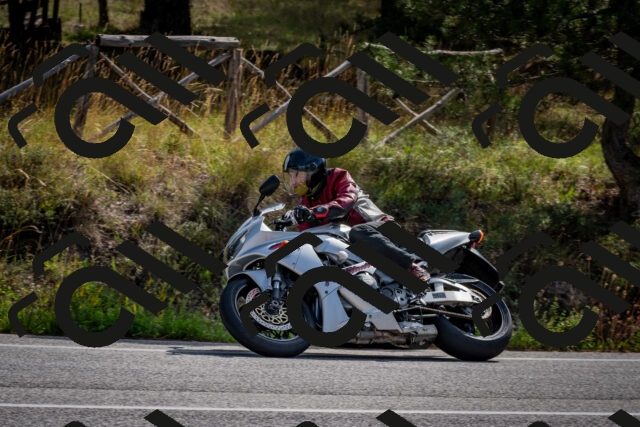 202509071052-DSC_2464_c2