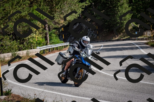 202509071053-DSC_2469_c2