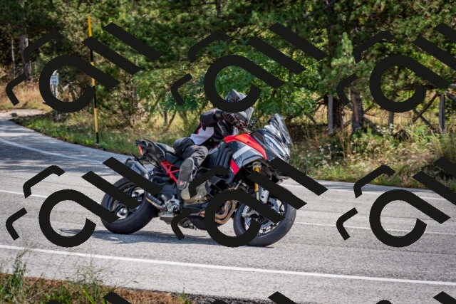 202509071053-DSC_2472_c2