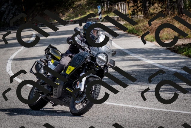 202509071053-DSC_2473_c2