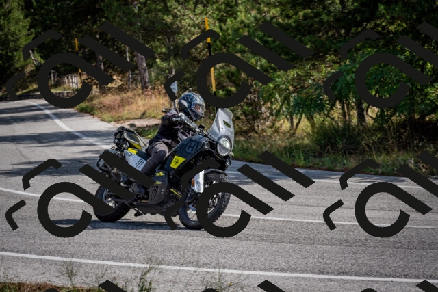 202509071053-DSC_2474_c2