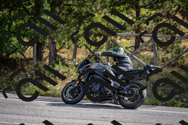 202509071053-DSC_2475_c2