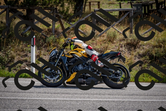 202509071053-DSC_2477_c2