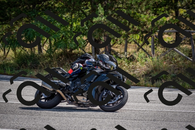 202509071053-DSC_2479_c2