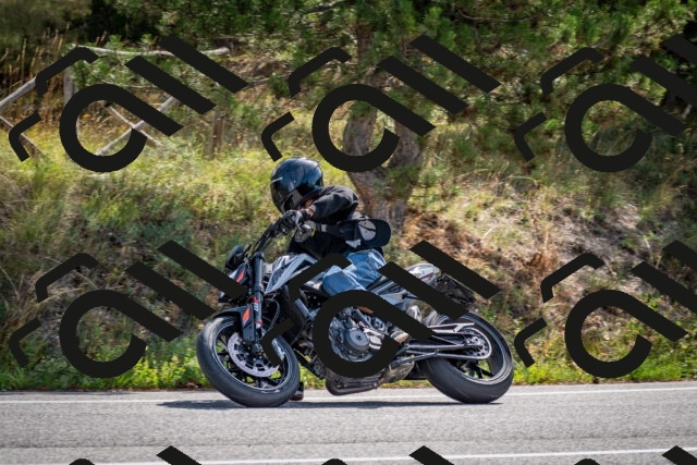 202509071053-DSC_2481_c2