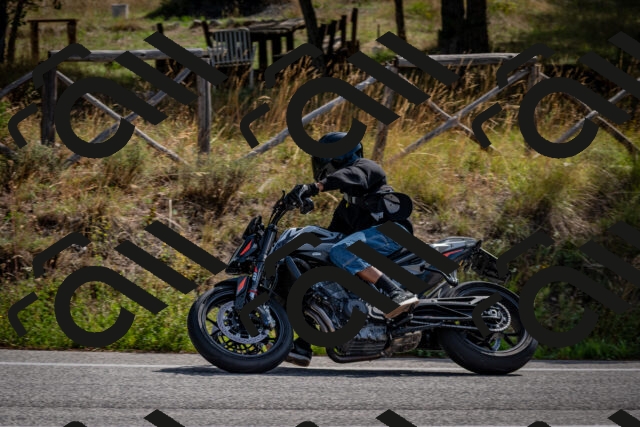 202509071053-DSC_2482_c2