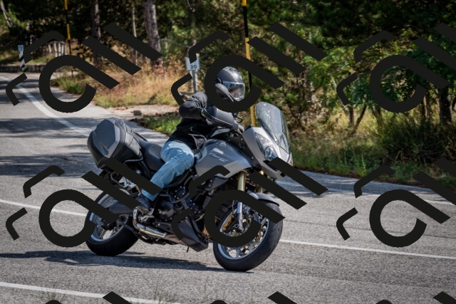 202509071053-DSC_2485_c2