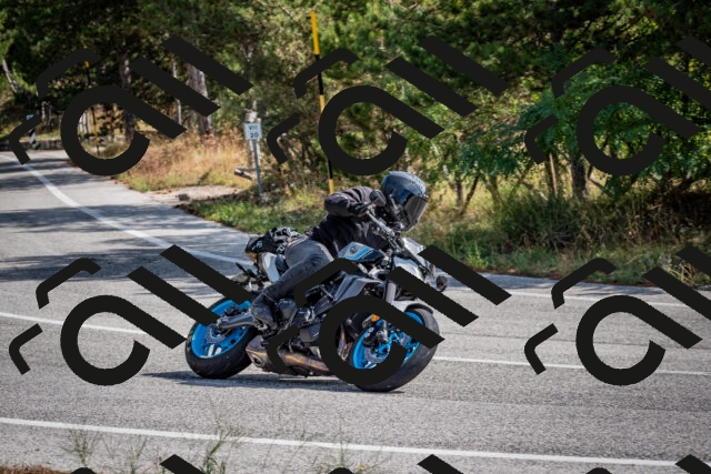 202509071059-DSC_2524_c2