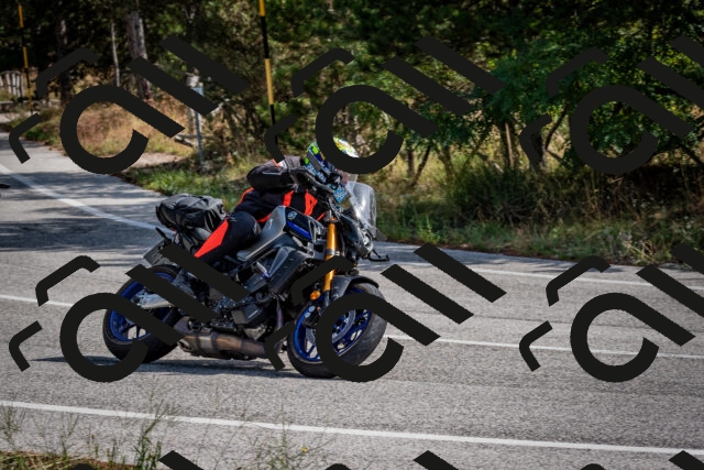 202509071100-DSC_2525_c2