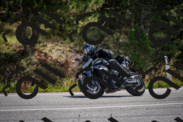 202509071100-DSC_2528_c2