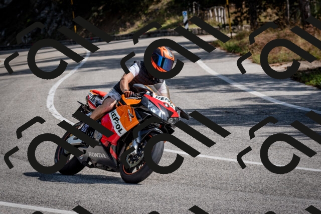 202509071101-DSC_2538_c2