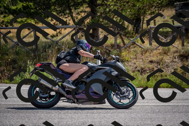 202509071102-DSC_2541_c2