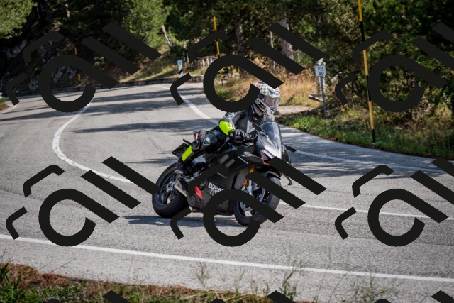 202509071103-DSC_2549_c2