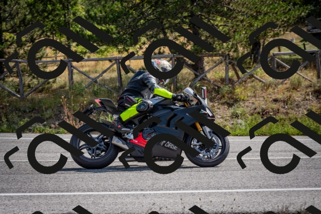 202509071103-DSC_2550_c2