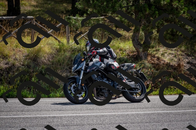 202509071103-DSC_2552_c2