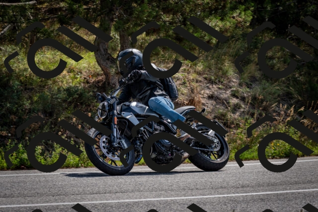 202509071103-DSC_2553_c2