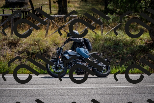 202509071103-DSC_2554_c2