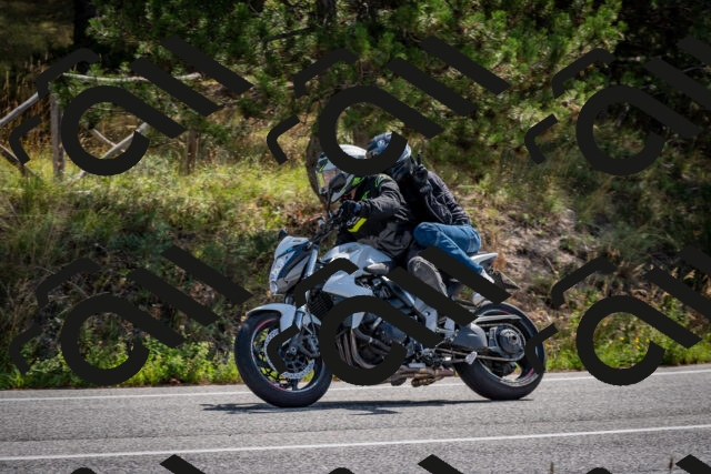 202509071103-DSC_2568_c2