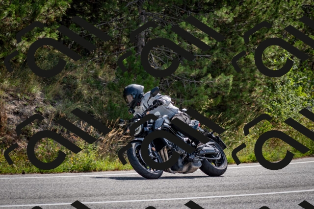 202509071105-DSC_2584_c2