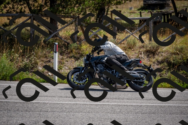 202509071105-DSC_2585_c2