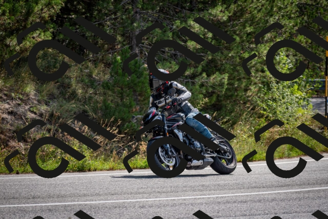 202509071106-DSC_2588_c2