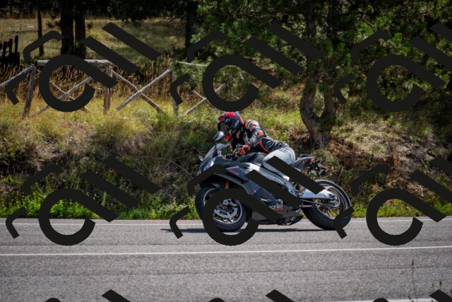 202509071106-DSC_2590_c2