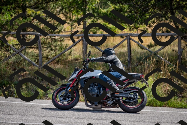 202509071106-DSC_2592_c2