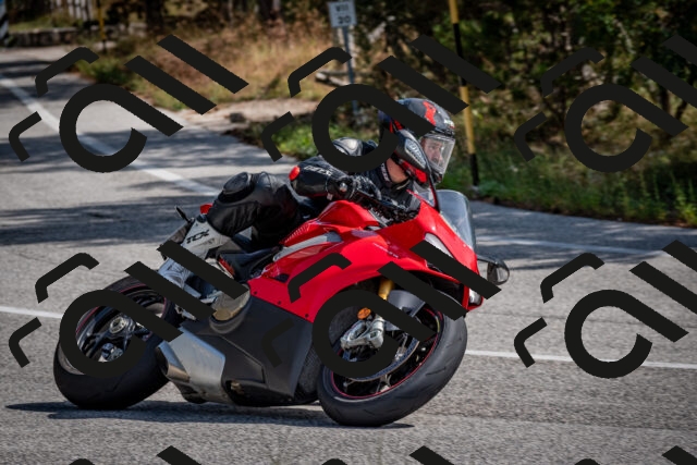 202509071107-DSC_2593_c2