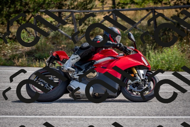 202509071107-DSC_2594_c2