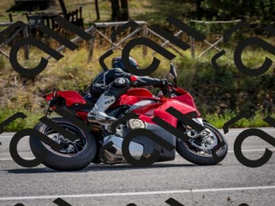 202509071107-DSC_2595_c2