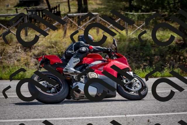 202509071107-DSC_2595_c2