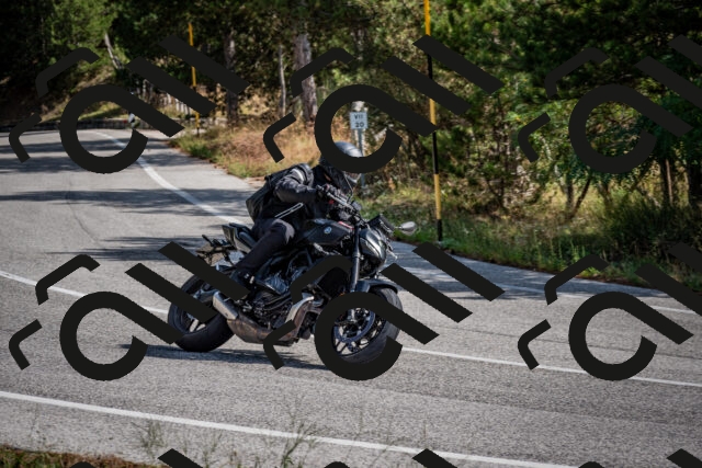 202509071107-DSC_2597_c2