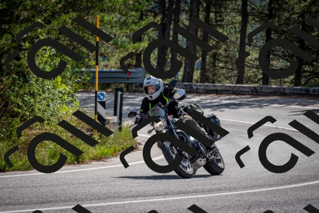 202509071108-DSC_2600_c2