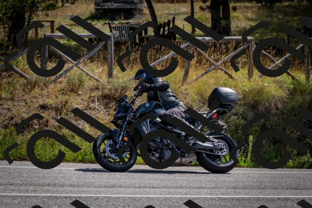 202509071108-DSC_2605_c2