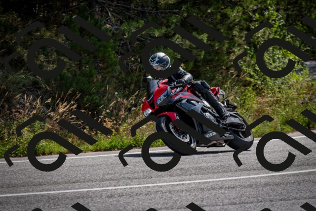 202509071108-DSC_2612_c2