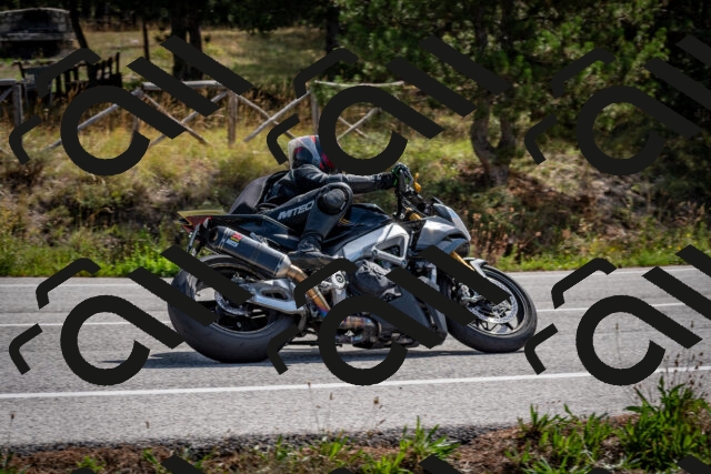 202509071108-DSC_2615_c2