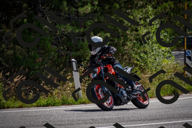 202509071108-DSC_2618_c2