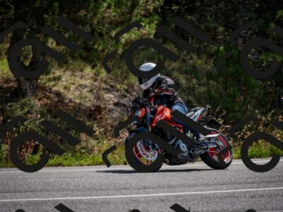 202509071108-DSC_2619_c2