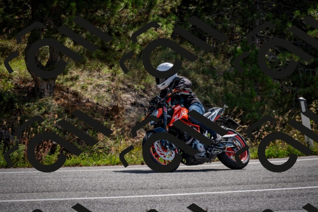 202509071108-DSC_2619_c2