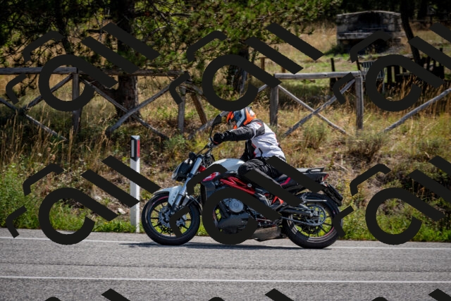 202509071108-DSC_2621_c2