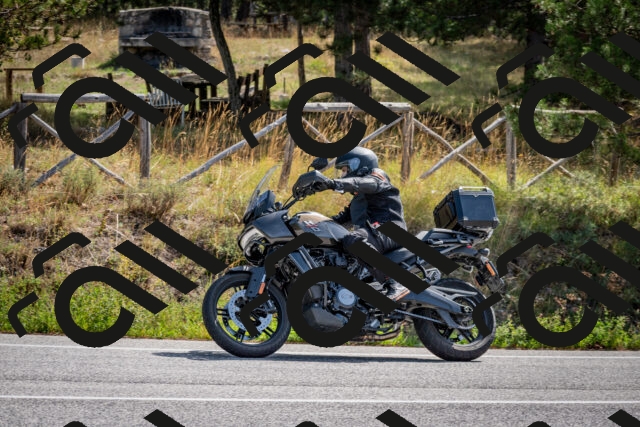 202509071109-DSC_2623_c2