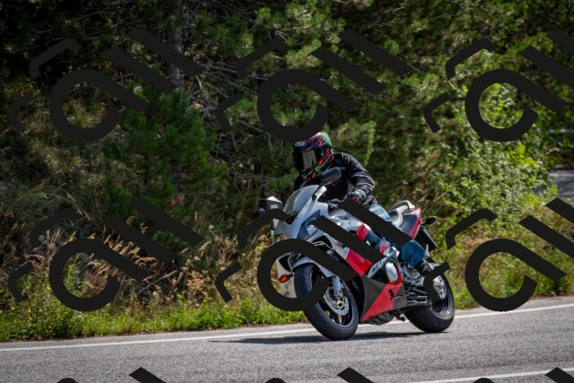 202509071109-DSC_2624_c2