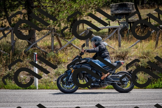 202509071109-DSC_2631_c2