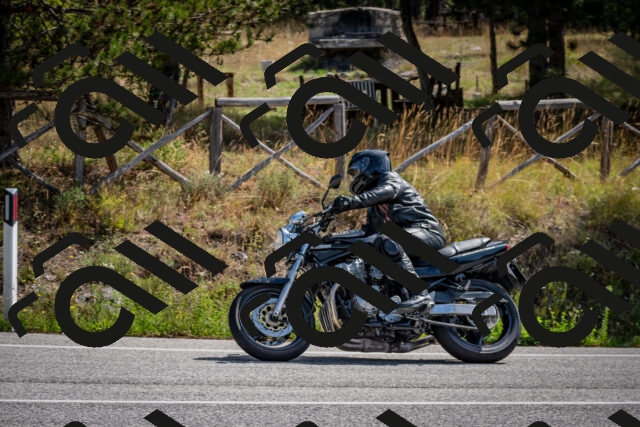 202509071109-DSC_2633_c2