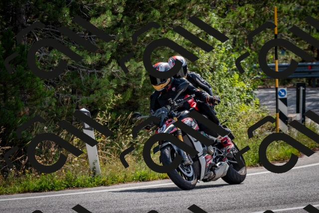 202509071109-DSC_2636_c2